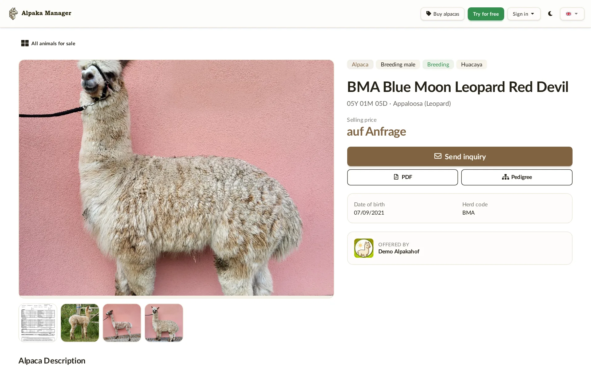 Present sales animals professionally